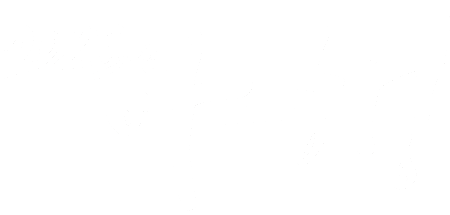 야행2025년
